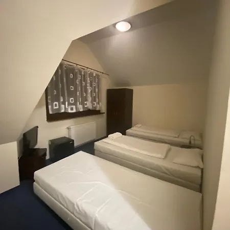 Lew Jaskiniowy Bed & Breakfast Stronie Śląskie