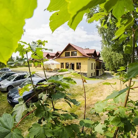 Lew Jaskiniowy Stronie Śląskie