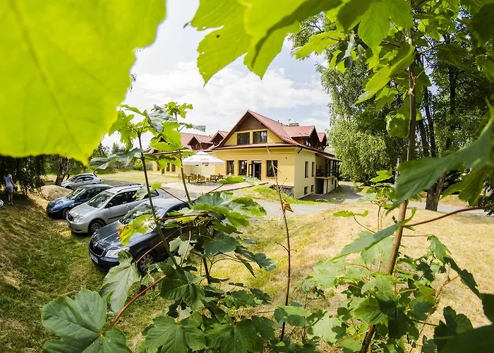 Lew Jaskiniowy Stronie Śląskie